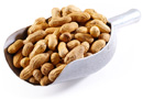 Roasted Peanuts